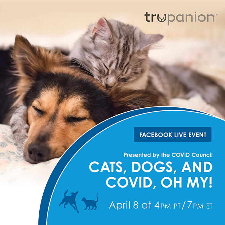 Facebook Live | COVID-19 Council for Animal Health