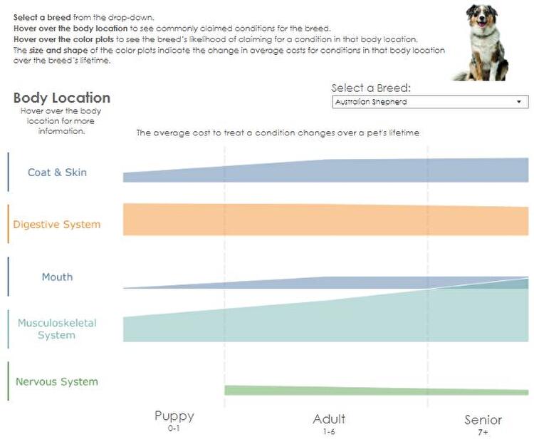 Interactive Graph: Top Drivers of Veterinary Cost by Dog Breed and Age