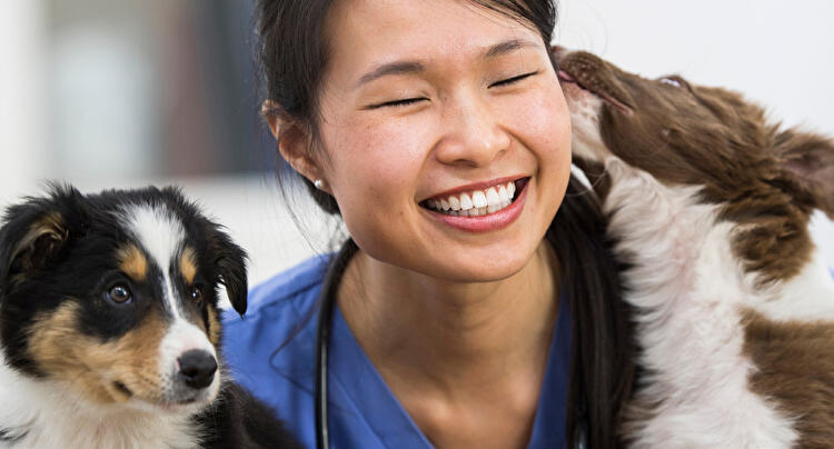 The Best Way to Help Clients Research
Medical Insurance for Pets