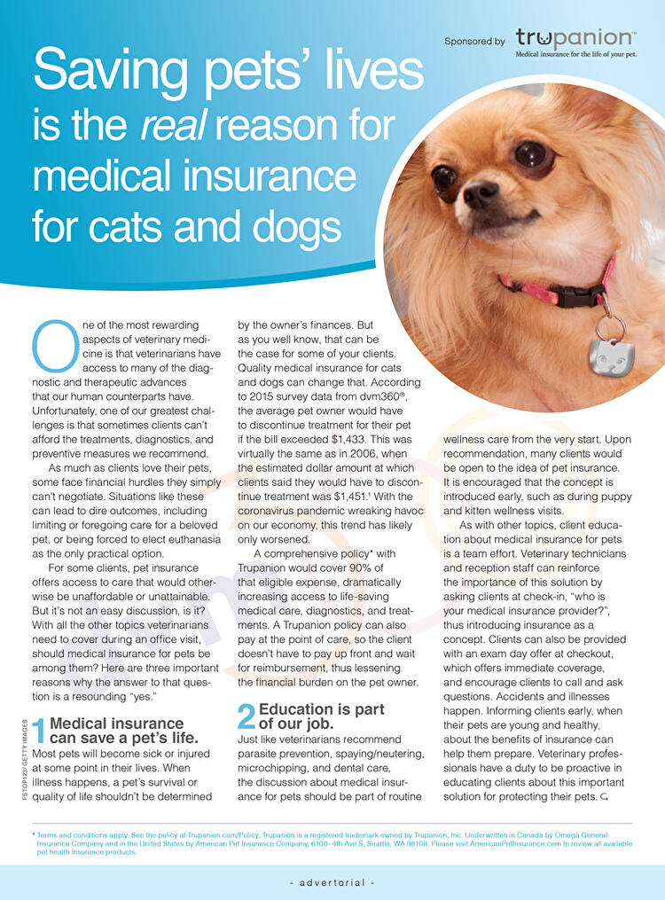 Saving Pet’s Lives is the Real Reason for Medical Insurance for Cats and Dogs